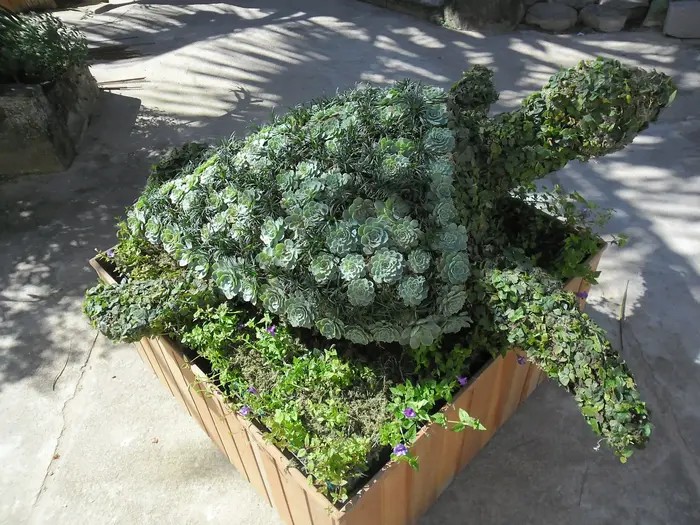 Plantando Arte - Vânia Vimûkti